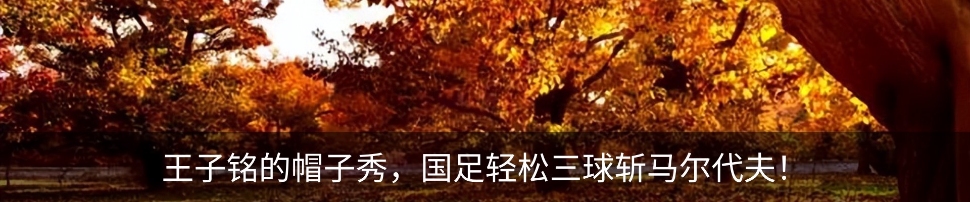 行业资讯